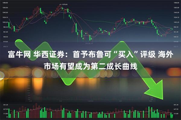 富牛网 华西证券：首予布鲁可“买入”评级 海外市场有望成为第二成长曲线