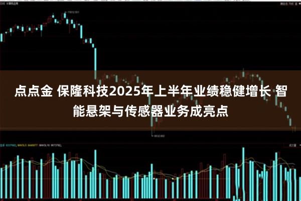 点点金 保隆科技2025年上半年业绩稳健增长 智能悬架与传感器业务成亮点