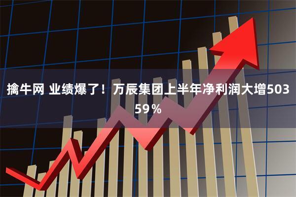 擒牛网 业绩爆了！万辰集团上半年净利润大增50359％