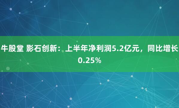 牛股堂 影石创新：上半年净利润5.2亿元，同比增长0.25%