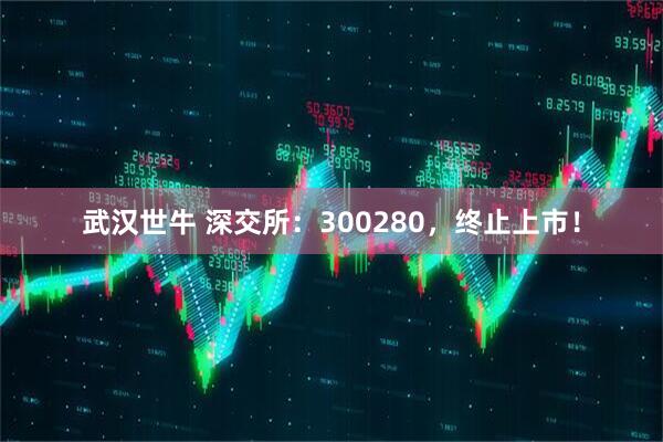 武汉世牛 深交所：300280，终止上市！