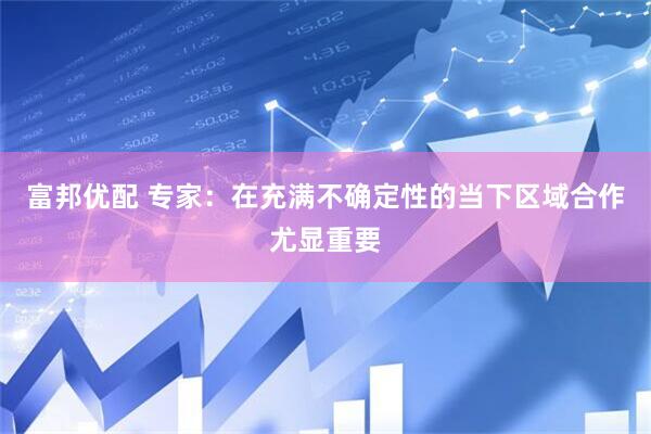 富邦优配 专家：在充满不确定性的当下区域合作尤显重要