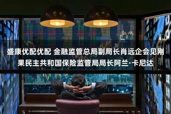 盛康优配优配 金融监管总局副局长肖远企会见刚果民主共和国保险监管局局长阿兰·卡尼达