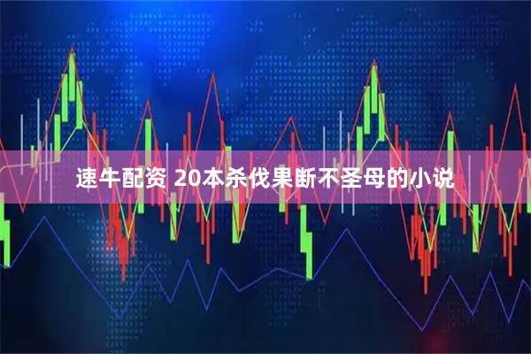速牛配资 20本杀伐果断不圣母的小说